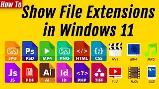 How to Show File Extensions in Windows 11