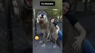 Things that are Bigger than You Think 🤯 #shorts #viral