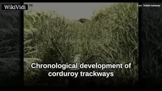 Timber trackway - WikiVidi Documentary