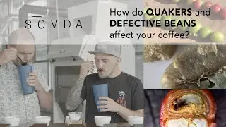 How Quakers and Defects Affect Your Coffee