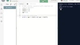 python more on boolean expression