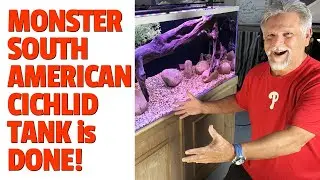 HUGE South American Cichlid Tank *210 Gallons* is DONE!