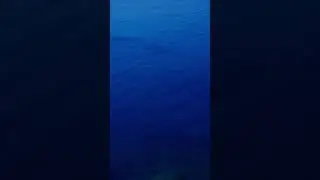 6260 51333