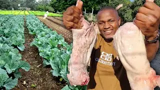 FINAL DE SEMANA PREFEITO - COZINHAMOS COELHOS COM XIMA e veja como tá  a horta de Hermano Pedro