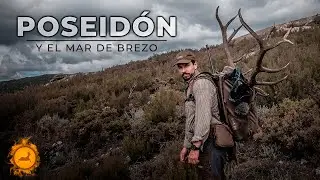 🔱𝗣𝗢𝗦𝗘𝗜𝗗𝗢𝗡 y el Mar de Brezo ✻ Una Historia de Perseverancia