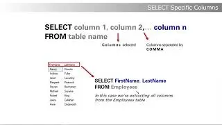 SQL | SELECT Specific Columns