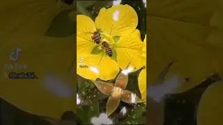 3 июля 2023 г.