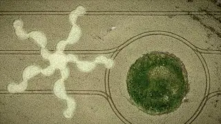 New Crop Circle UK ~ 30th June 2024  #cropcircles #cropcircle #cropcircle2024