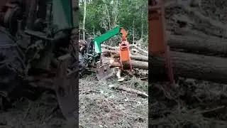 Скидер захват трелевочный ЗТ 250 трактор Т 150К Скидер (+7 925 589 65 90)