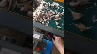 Дробилка для чеснока #чеснок