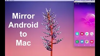 scrcpy - Mirror Android Phone to Mac Like a Pro [No apps / Ads] [Free]