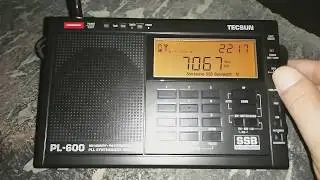 Tecsun PL-600, SSB 40 метров, во дворе.