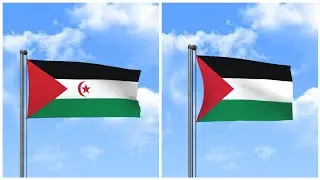Why Do Western Sahara and Palestine Have ALMOST IDENTICAL Flags?#palestineflag