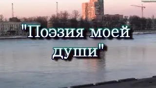 Поэзия души. Красивые стихи. Стихи для души. Стихи о любви.