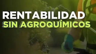 El secreto para evitar químicos sin sacrificar tus cultivos