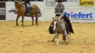 2023 NCHA Futurity Champion