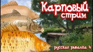 РР4 / 18+ / Карповый  стрим / Янтарное, Медное / Катушки, алкоголь, премы  / Розыгрыши