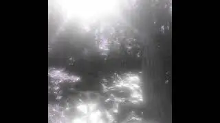 lungskull x bacleo x yuke type beat "rays" (prod.kappi)