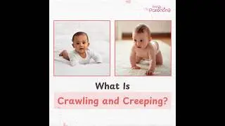 Baby Crawling Vs. Creeping - Know the Difference