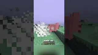 minecraft ama cennetteyim 🕊️