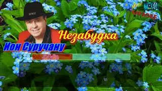 Ион Суручану - Незабудка (КАРАОКЕ от DJSerj)