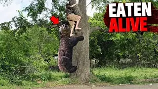 These Deadly Predators Showed NO MERCY For These 3 Children!