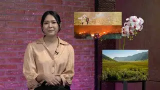APA KABAR BROMO?