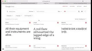 How to iGEM Wiki #9 - Uploading Google Fonts