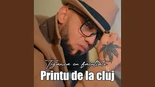 Tiganca Cu Facultate