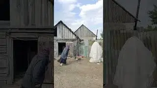 призрак 