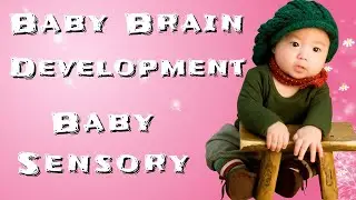 Baby Sensory Neuron 🎈 Baby Sensory Brain Development 🎶 Favorite Nursery Rhymes