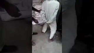 Как убить крысы?
