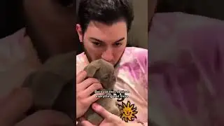 These puppies were going to the euthanized because they’re blind 🥺💔 