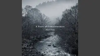 A State of Consciousness