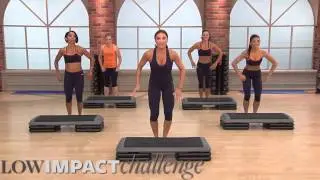 Cathe Friedrich's Low Impact Workout Series