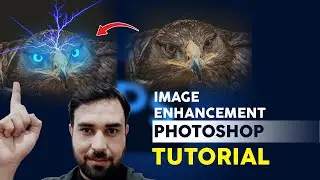 Eagle image enhancement | Adobe photoshop tutorial | Image editing