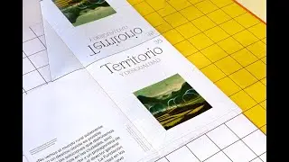 Relajaelcoco cotec anuario 1