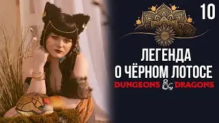Клинок, доспех и мантия | DnD | Кампания: Легенда о чёрном лотосе | 10 серия | Dungeons & Dragons