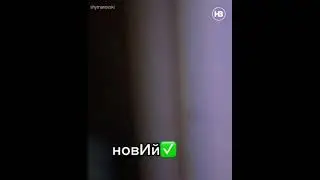 Добірка тіктоків до Дня української писемності та мови
