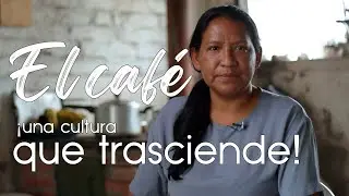 El café, una cultura que trasciende - Historias con sabor a café capitulo #2