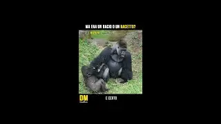 Ma era un bacio o un bacetto?