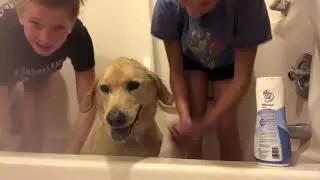 Giving our puppy a bath