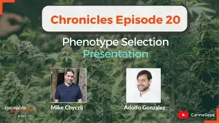 Phenotype Selection | CHRONICLES Ep 20
