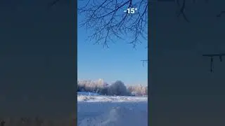 Латвия.Природа. 18декабря морозное солнечное утро -15°.
