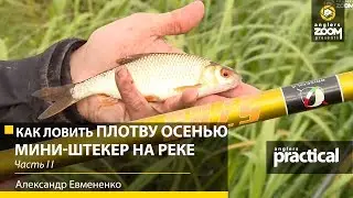 Как ловить ПЛОТВУ ОСЕНЬЮ. Мини-штекер и маховая на реке. Часть 2. А. Евмененко. Anglers Practical