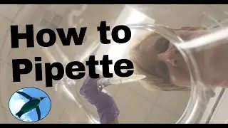Lab Skills:  How to Pipette