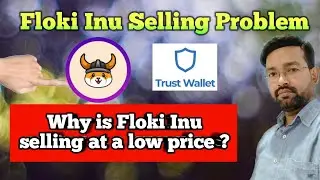 Floki inu kam rate pe sell ho raha , kya hai is problem ka solution ||