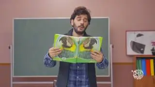 Ese Citi -Pitbulli