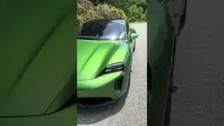 It's called Mamba Green 🐍