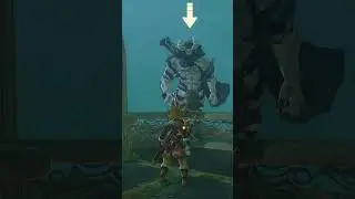 You can TAME a Lynel?!?!